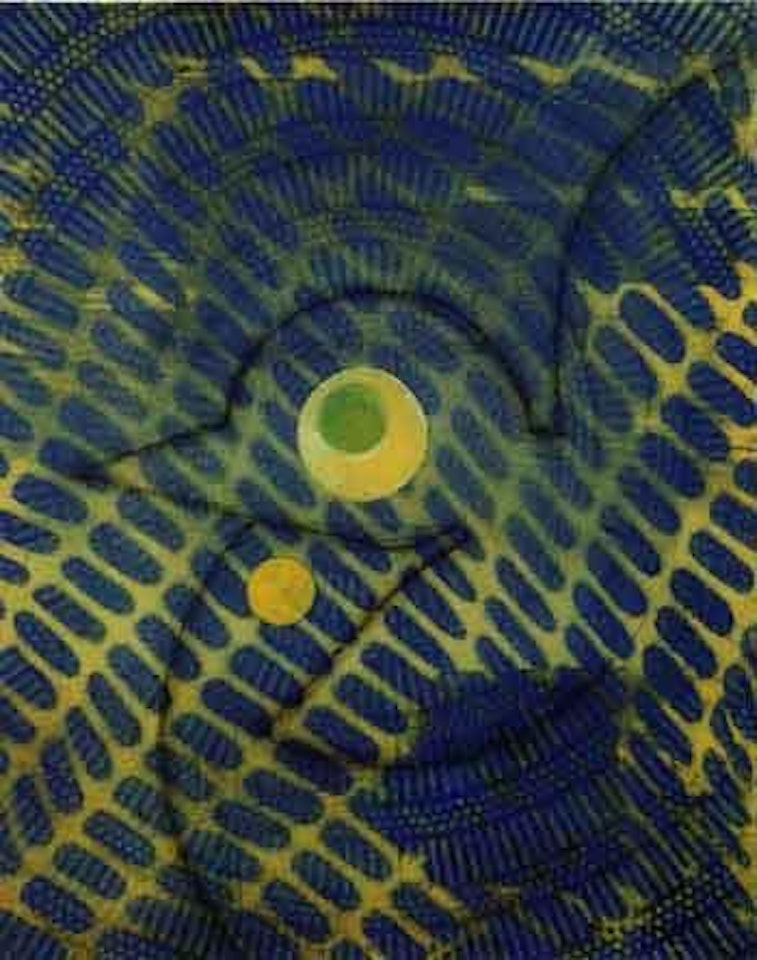 Oiseau sur fond bleu et jaune by Max Ernst