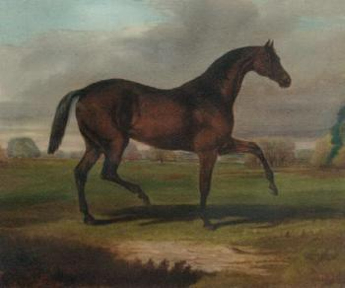Bay hunter in a landscape by English School