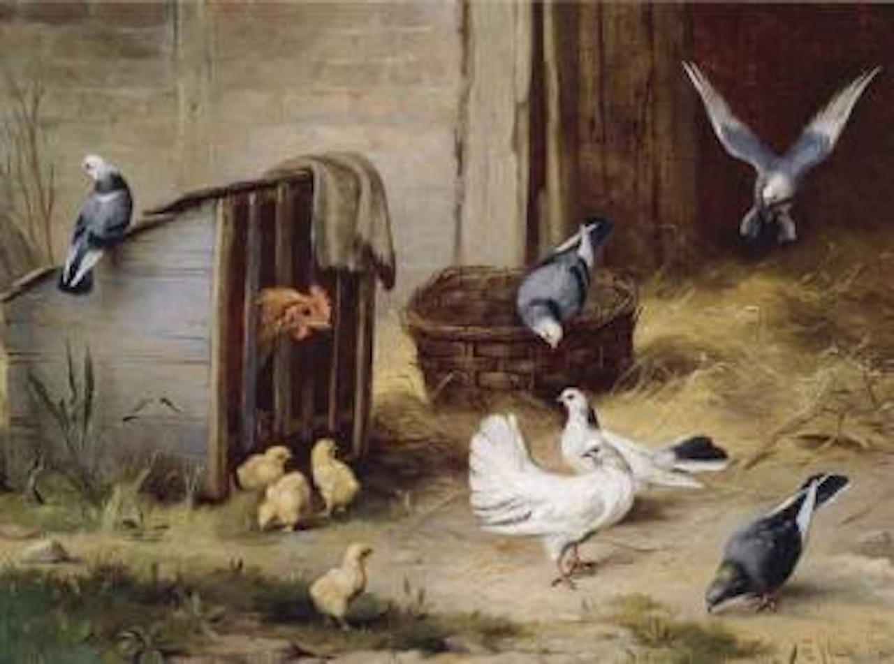 Farmyard scene with doves and pigeons by Edgar Hunt