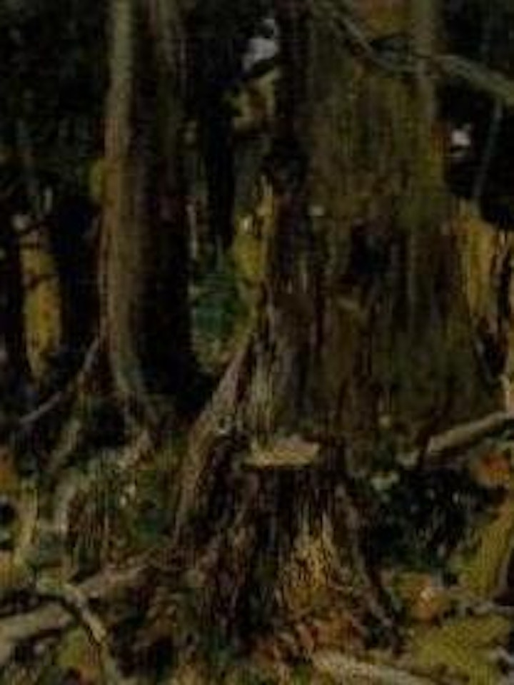 Forest floor by Arthur Lismer