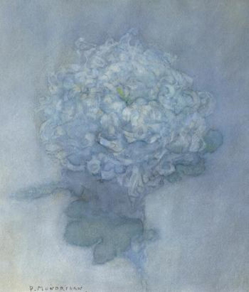 Chrysanthemum by Piet Mondrian