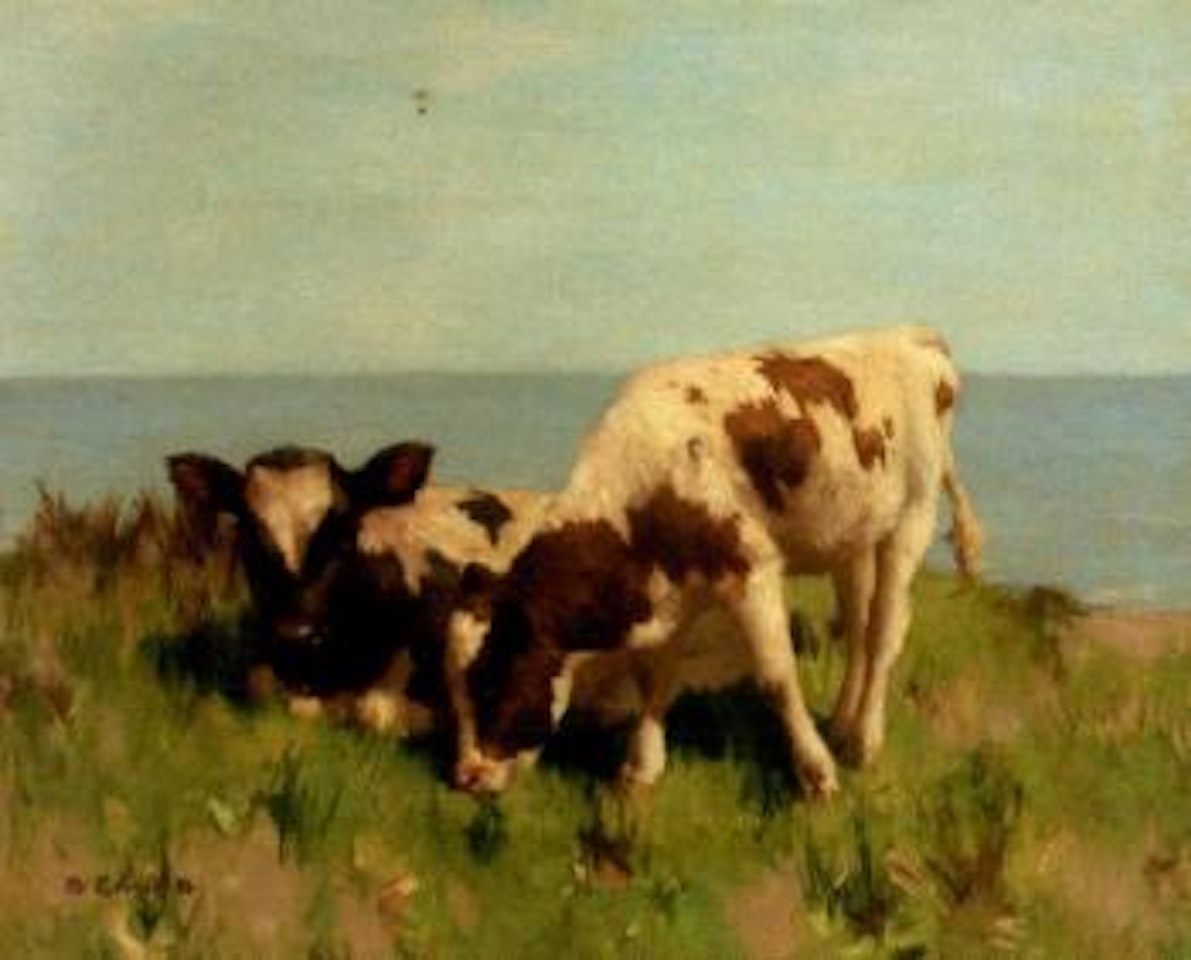 Shore pasture by David Gauld