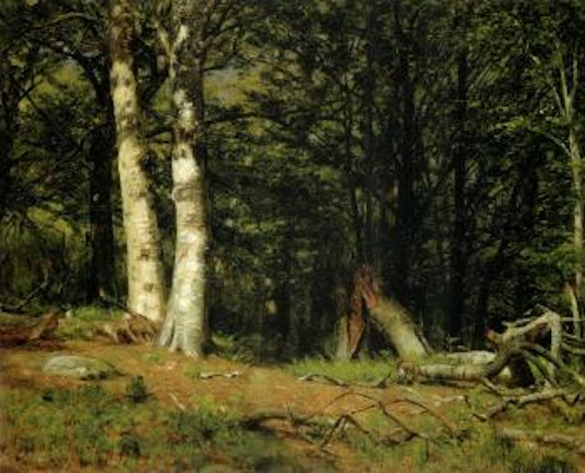 Fallen birch by Worthington Whittredge