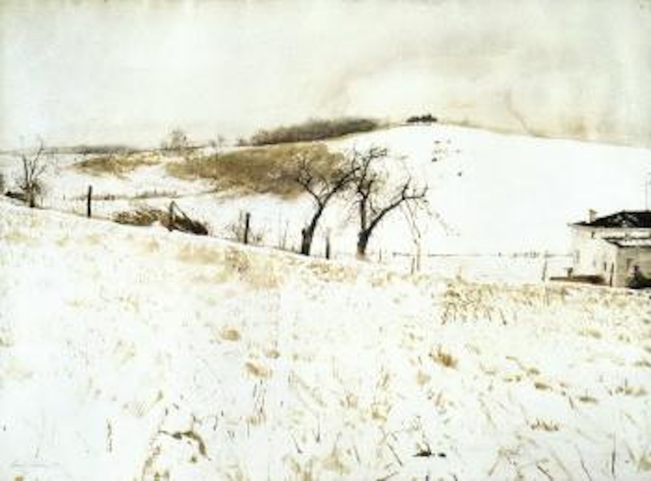 Fence line by Andrew Wyeth