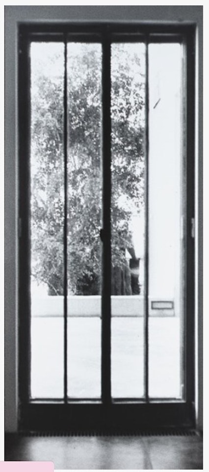 Villa Wittgenstein, Wien by Günther Förg