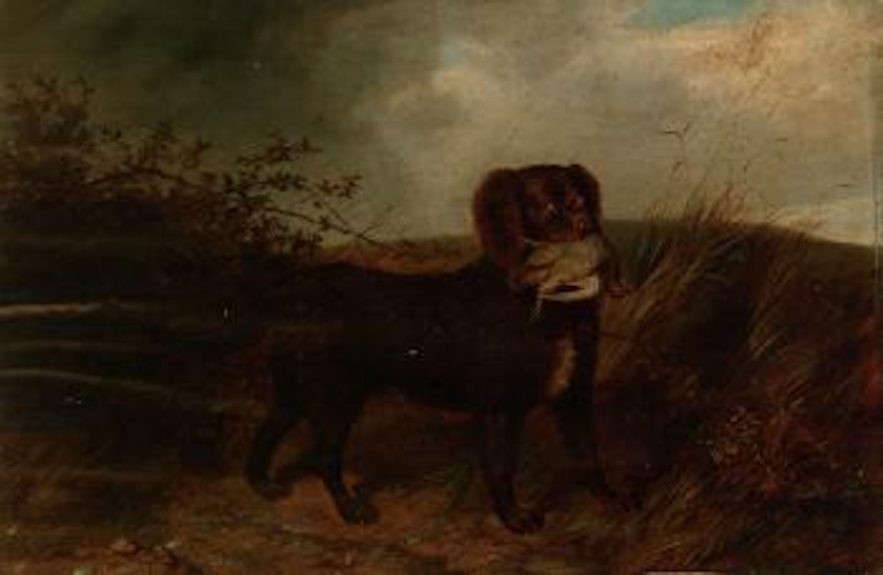 An Irish water spaniel with partridge by English School