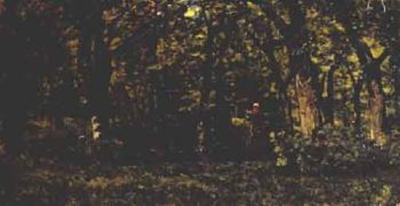 Paysanne en sous bois by Henri Harpignies