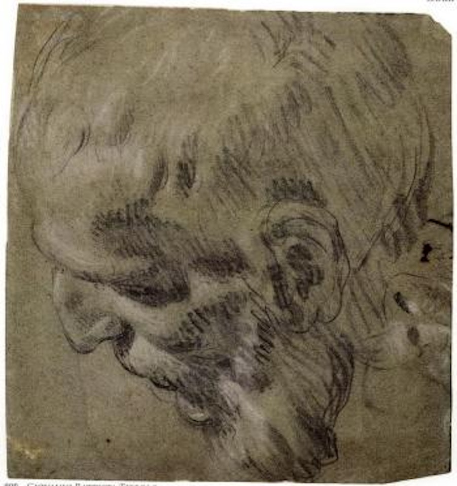 Head study by Giovanni Battista Tiepolo