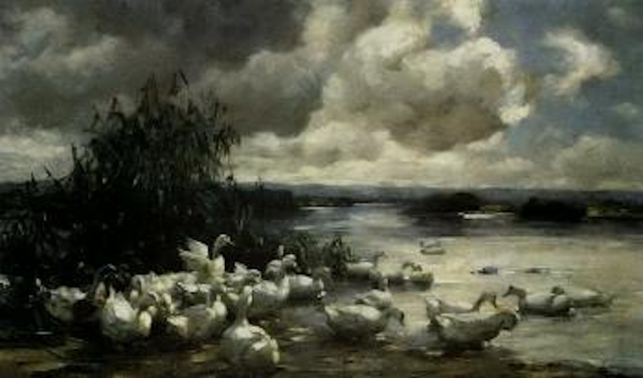 Extensive lake landscape with ducks by Alexander Koester