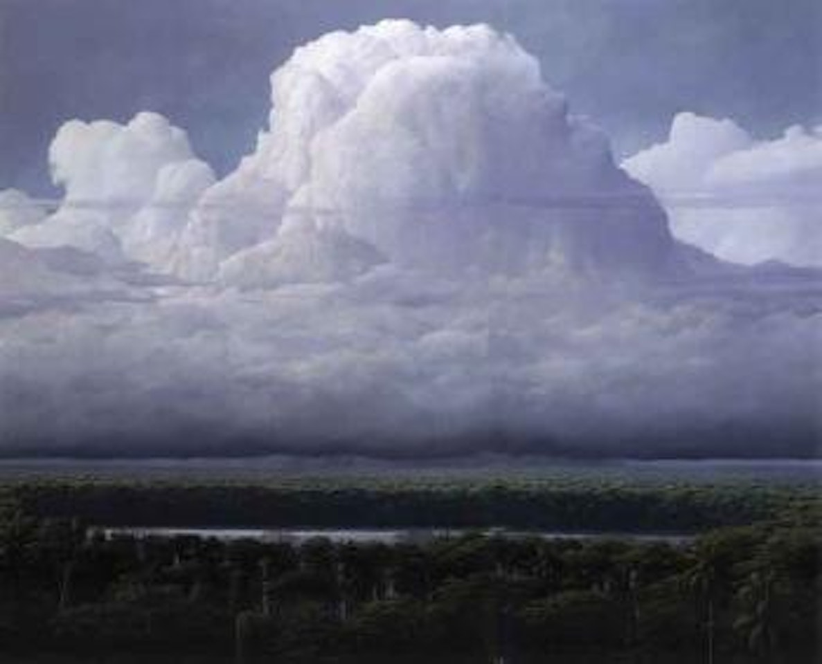 Nubes sobre laguna by Tomas Sanchez