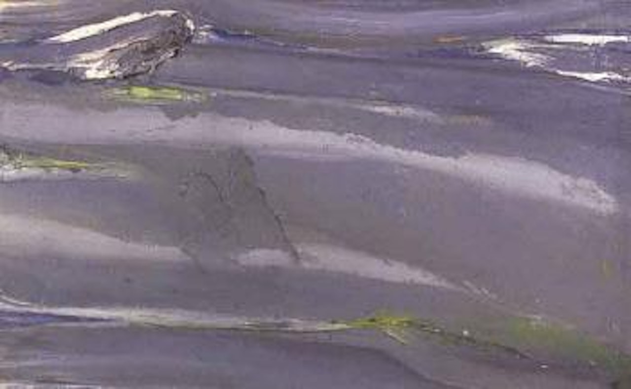 Loire d'orage by Olivier Debre