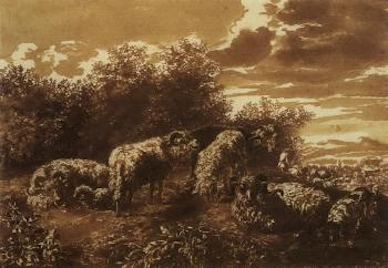 Sheep at rest in a landscape by Jan de Bisschop