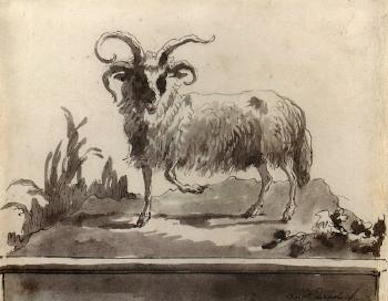Ram walking to the left by Giovanni Domenico Tiepolo