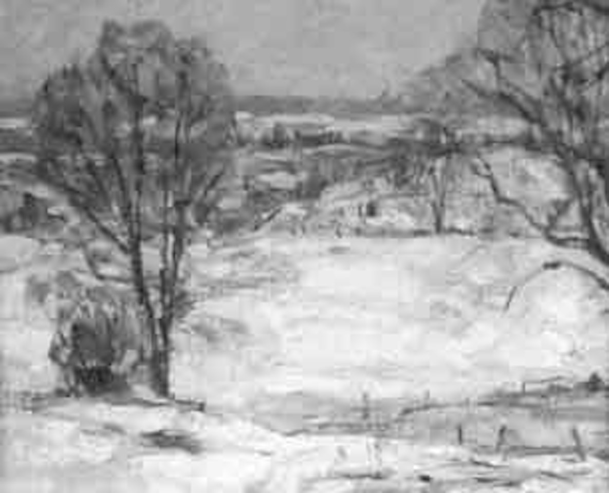 Winter vista by John Fabian Carlson