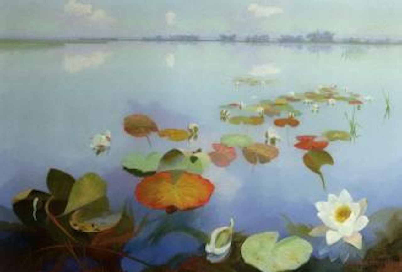Water lilies in the Loosdrechtse Plassen by Dirk Smoorenberg