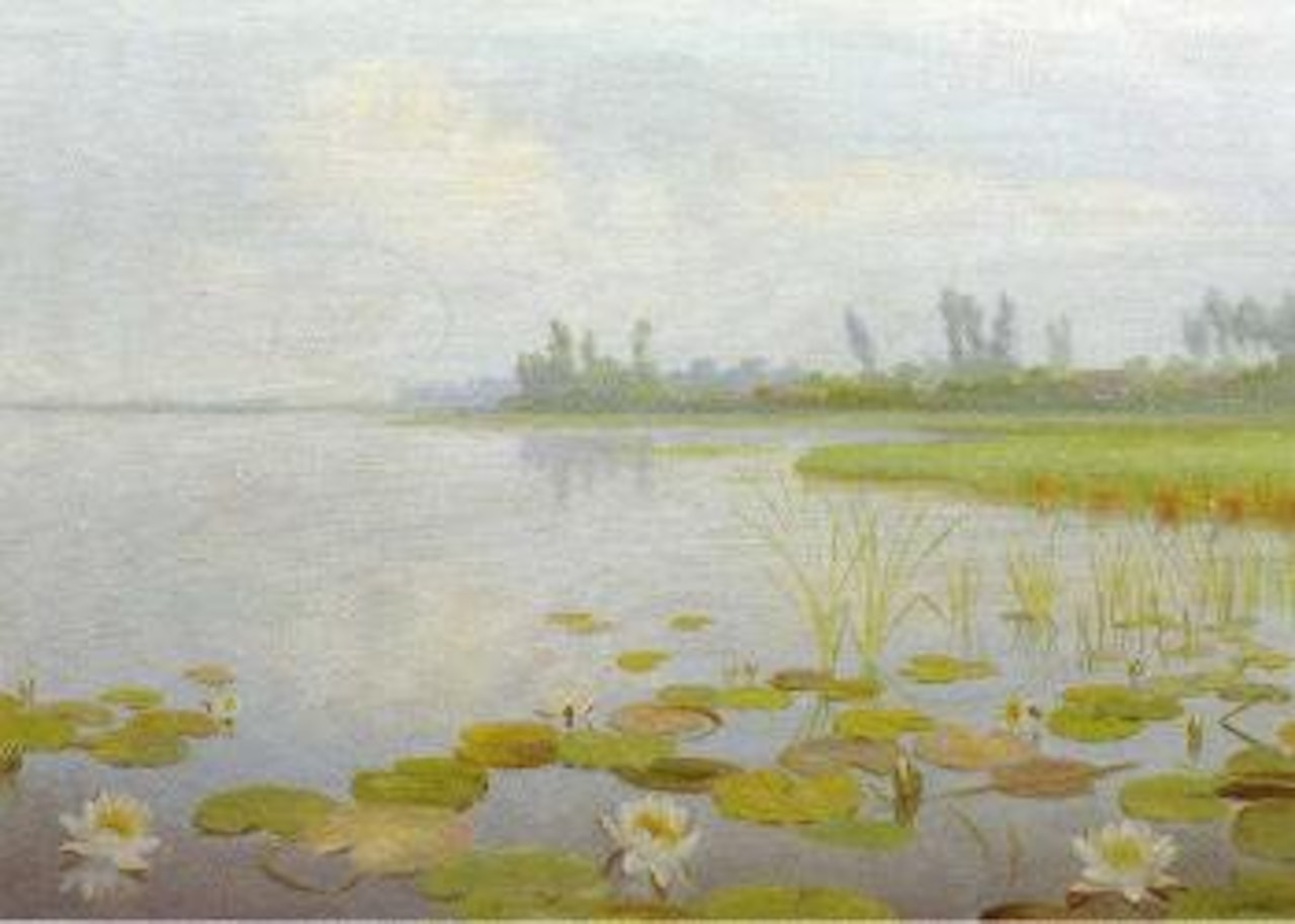Water lilies in the Vuntusplas with Horndijk beyond by Dirk Smoorenberg