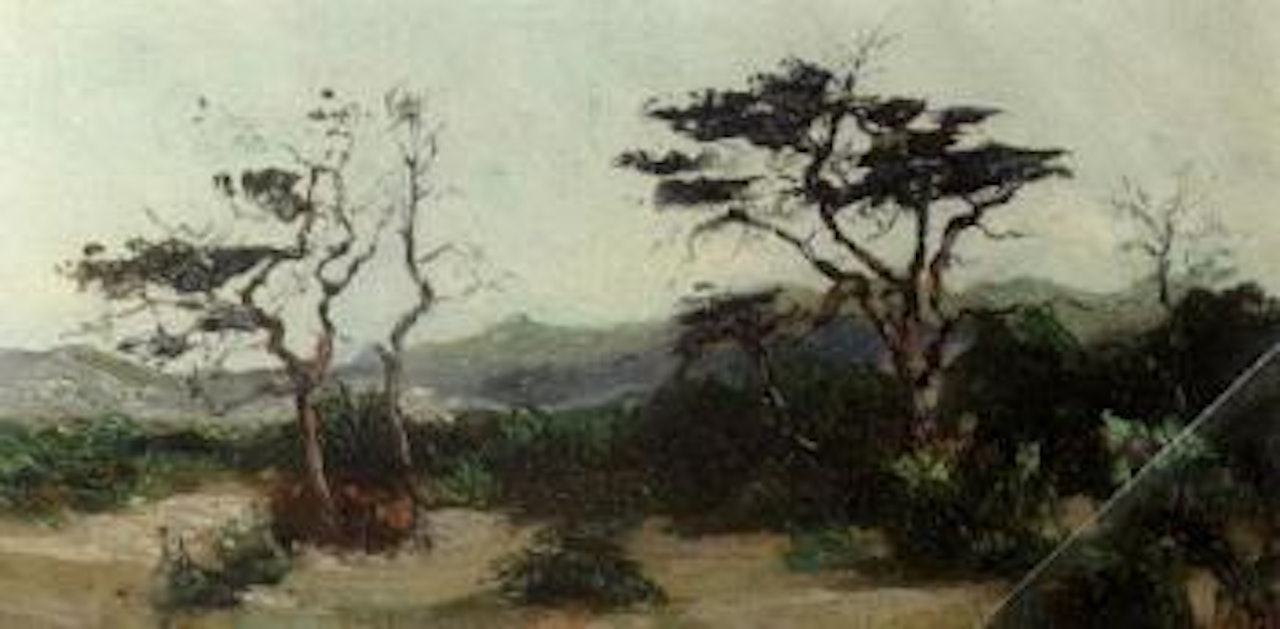 Dune landscape with trees by Dirk Smoorenberg