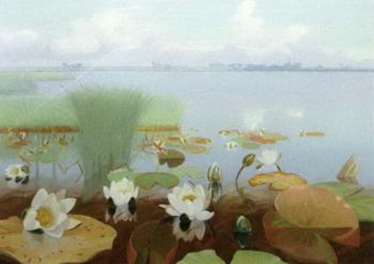 White water lilies in the Loosdrechtse Plassen by Dirk Smoorenberg