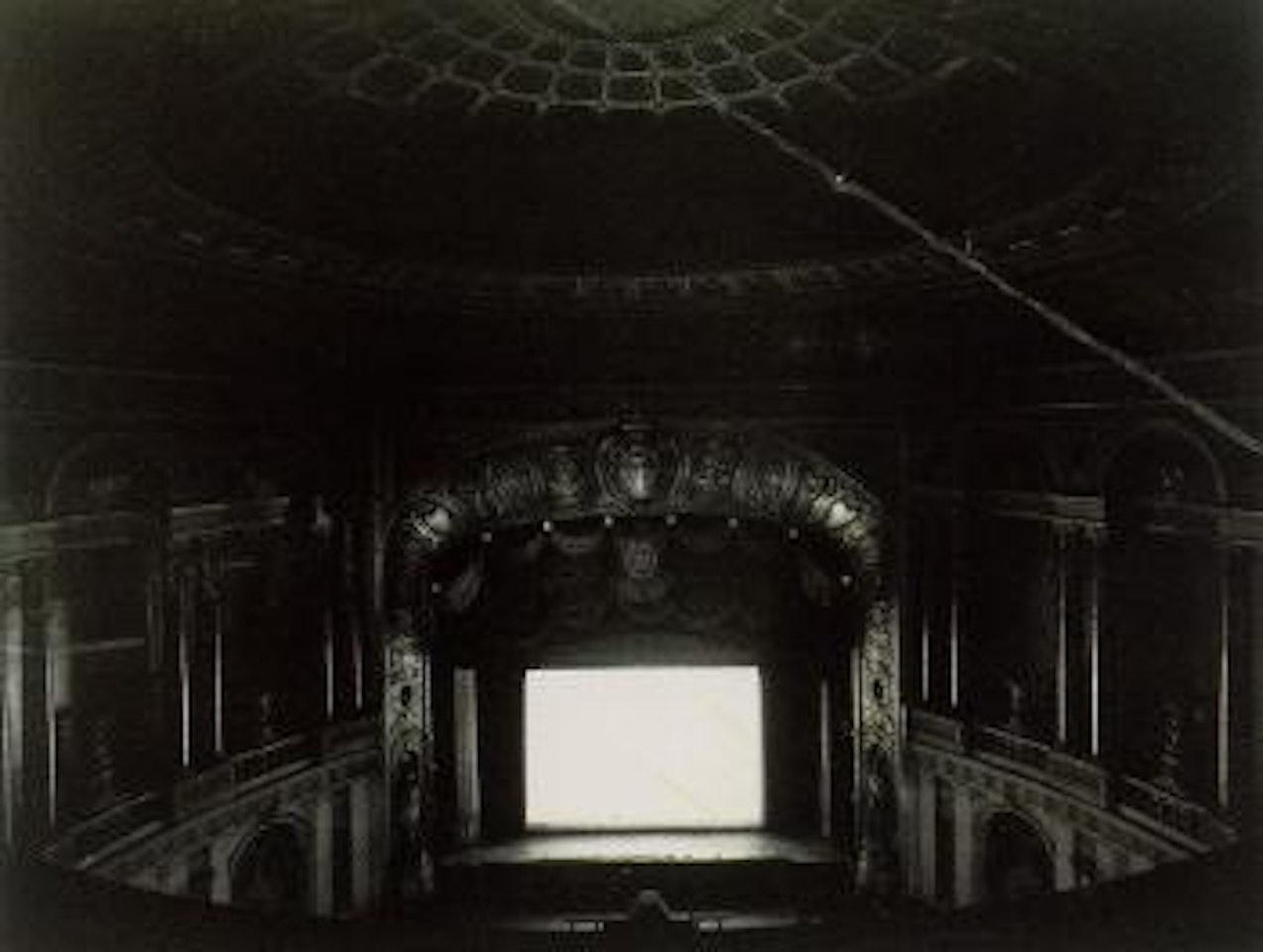Palms, Detroit by Hiroshi Sugimoto