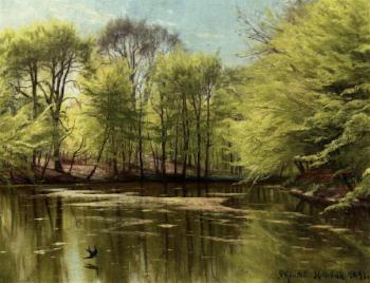 Spring day in wood with beech trees reflecting on water by Peder Mork Monsted