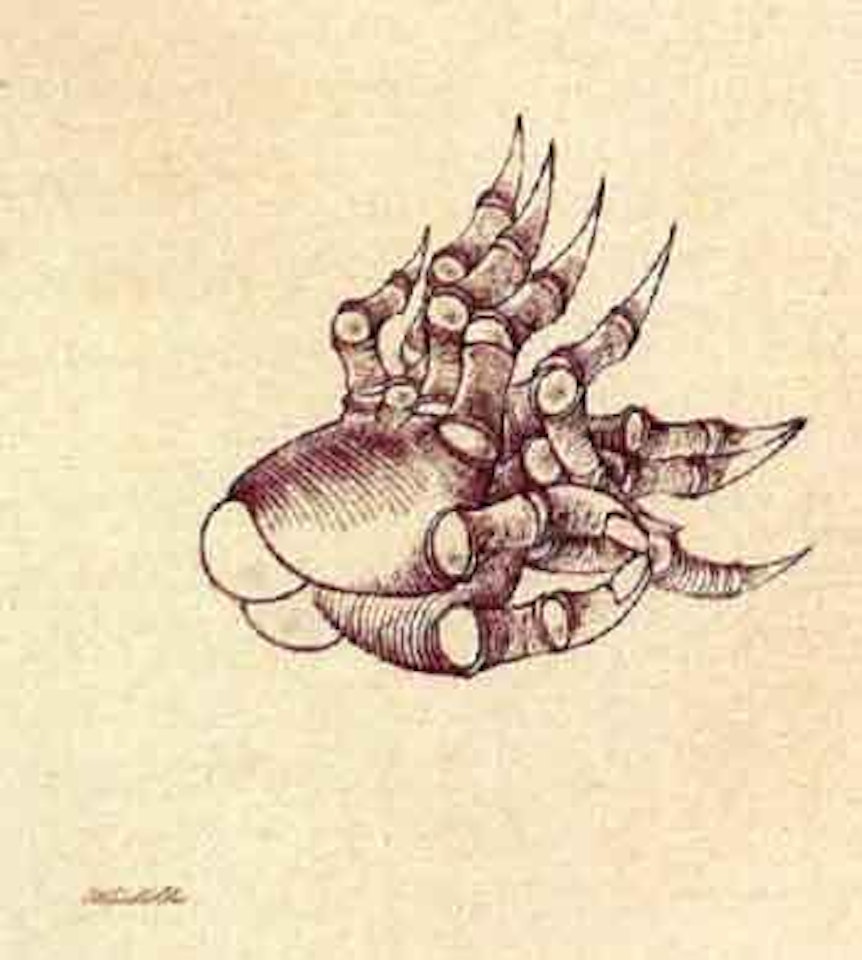 Hands by Hans Bellmer