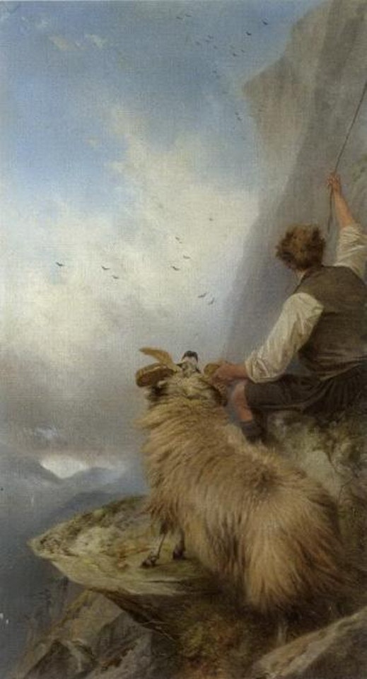 Rescued by Richard Ansdell