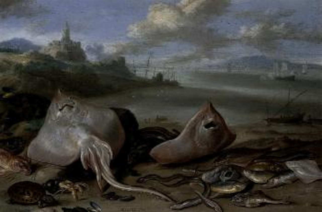 Beach scene with rays, eels, a hermit crab, red mullet, a tortoise and other fish by Jan Van Kessel The Elder