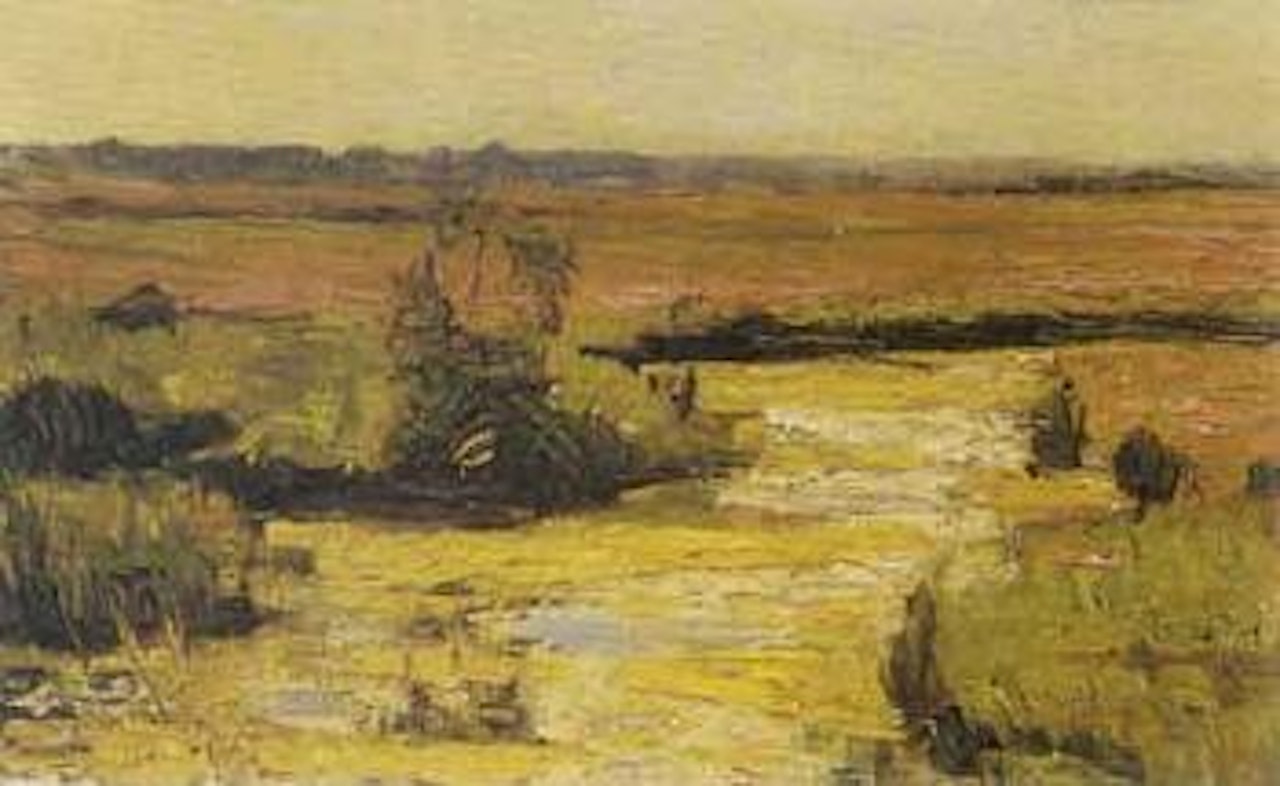 Dutch landscape by Arnout Colnot