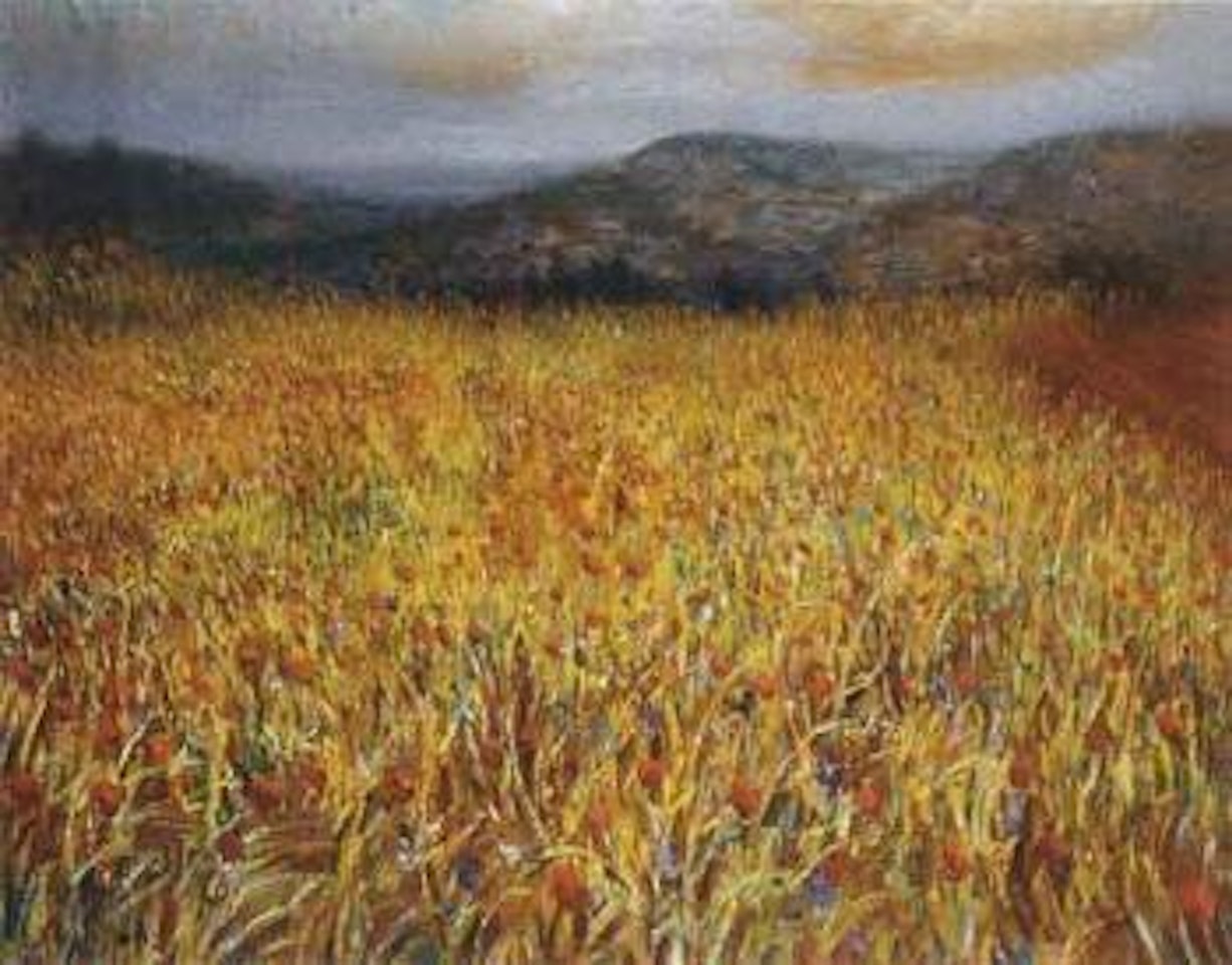 Champ de coquelicots by Marcel Dyf