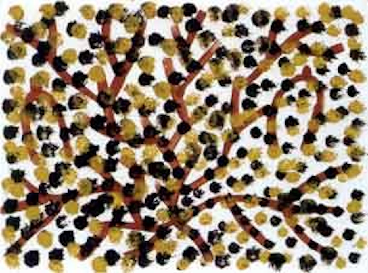 Aweyle by Emily Kame Kngwarreye