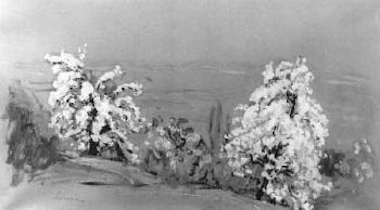 Les arbres en fleurs by Henri Lebasque