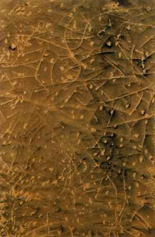 Untitled by Mark Tobey