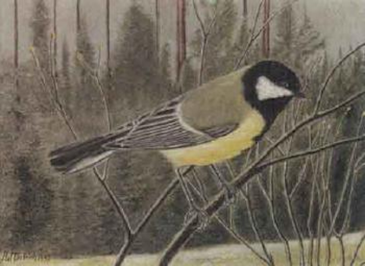Tit before wood landscape by Adolf Dietrich