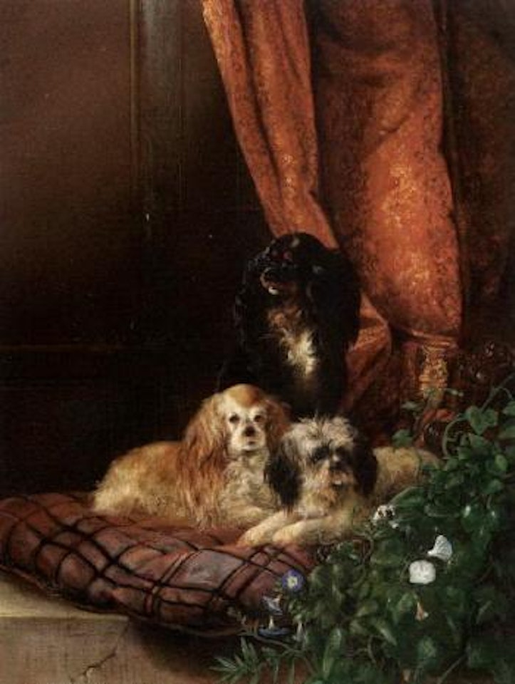 Three dogs on pillow by August Knip
