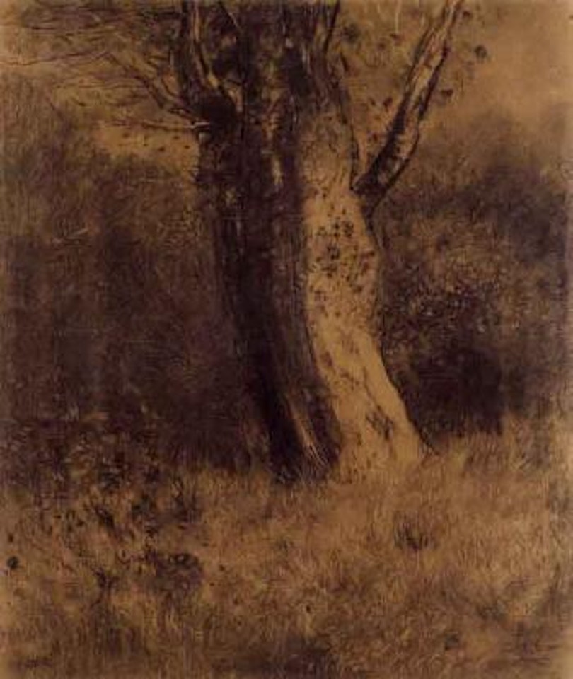 Arbre by Odilon Redon