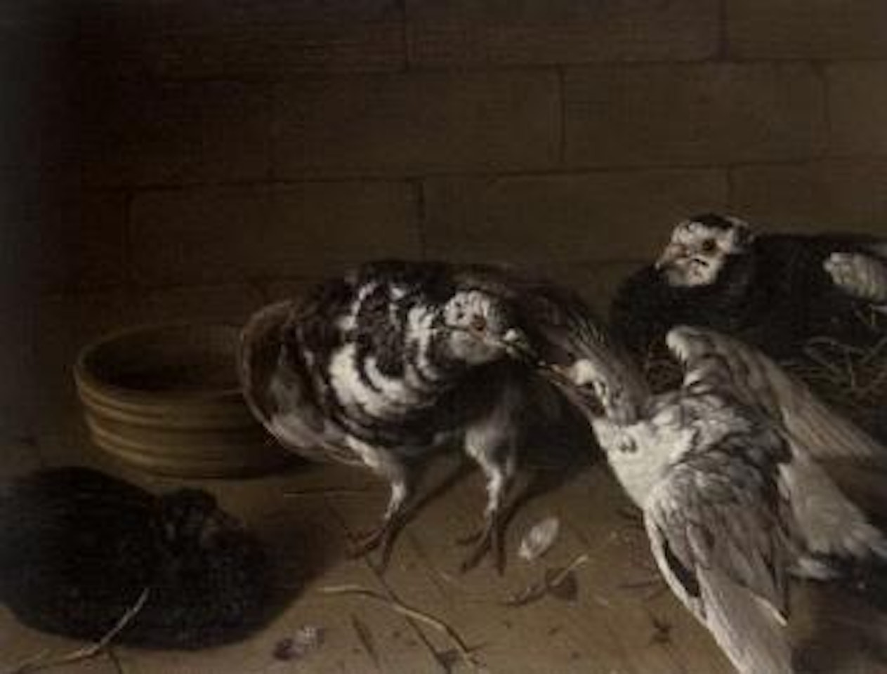 Interior with birds by nest by German School
