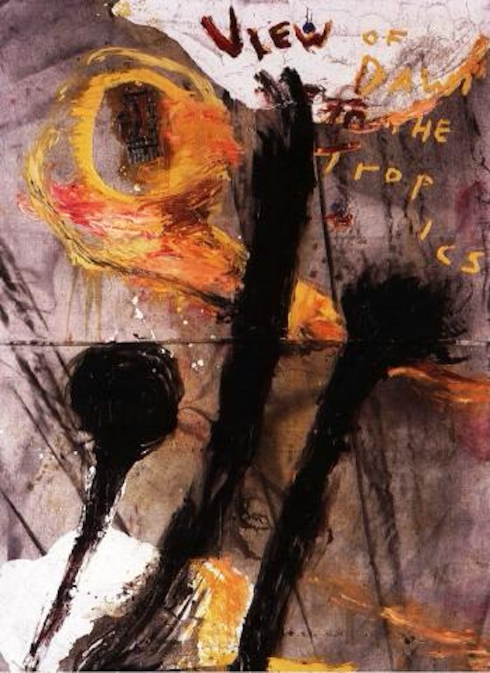 View of dawn in the tropics by Julian Schnabel