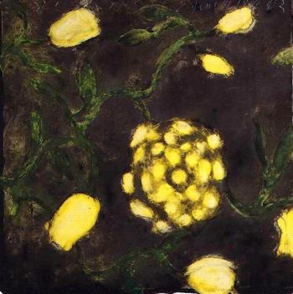 Yellow roses June 14, 1991 by Donald Sultan