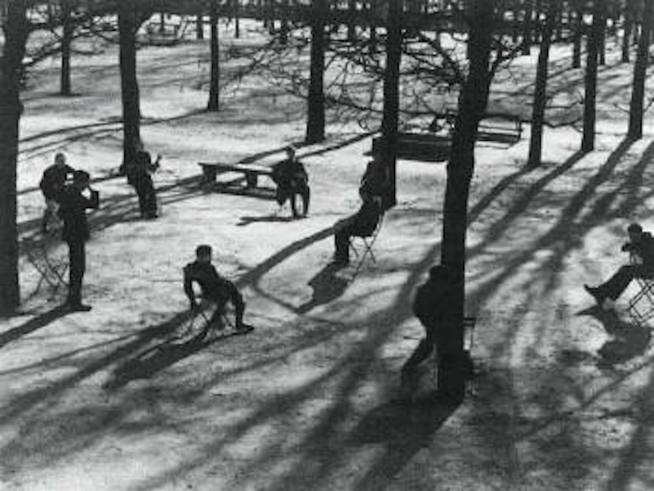 Tuileries garden by André Kertész
