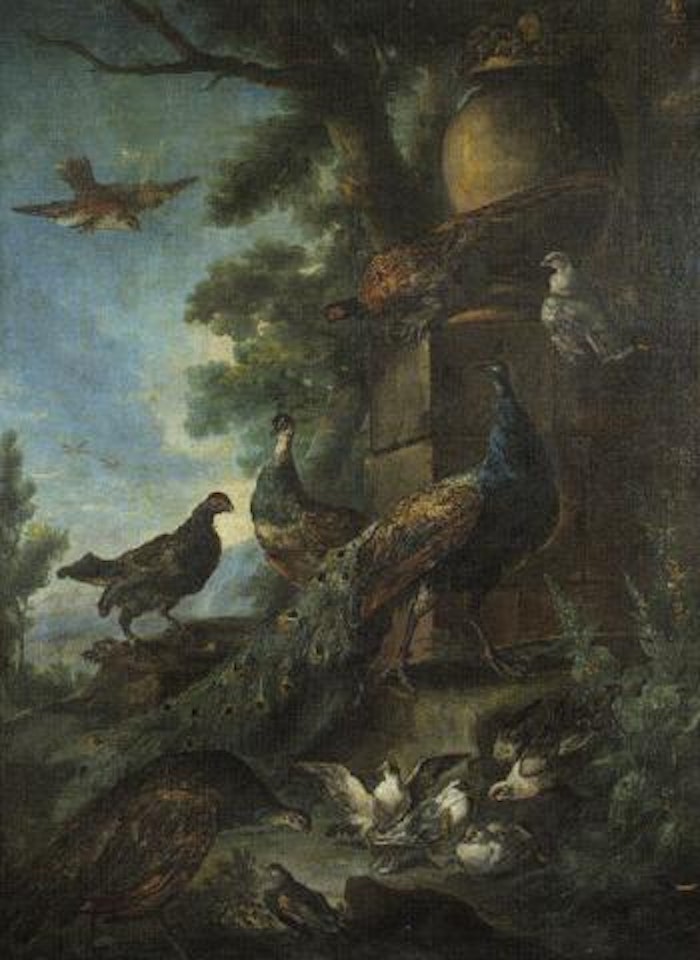 Oiseaux dans un parc by Melchior de Hondecoeter
