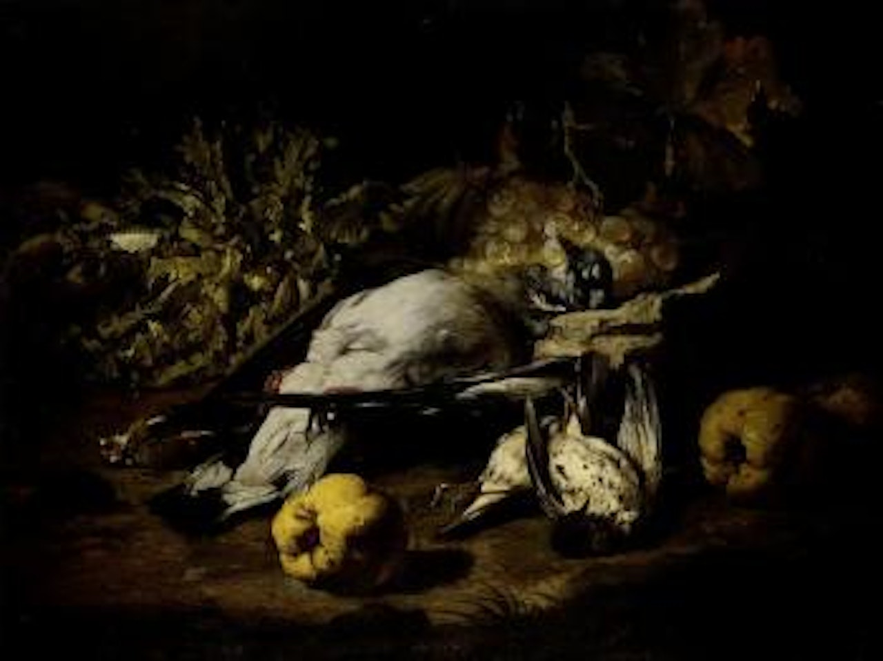 Still life of a blue roller, songbirds, fruit and lettuce, in a landscape by Franz Werner von Tamm