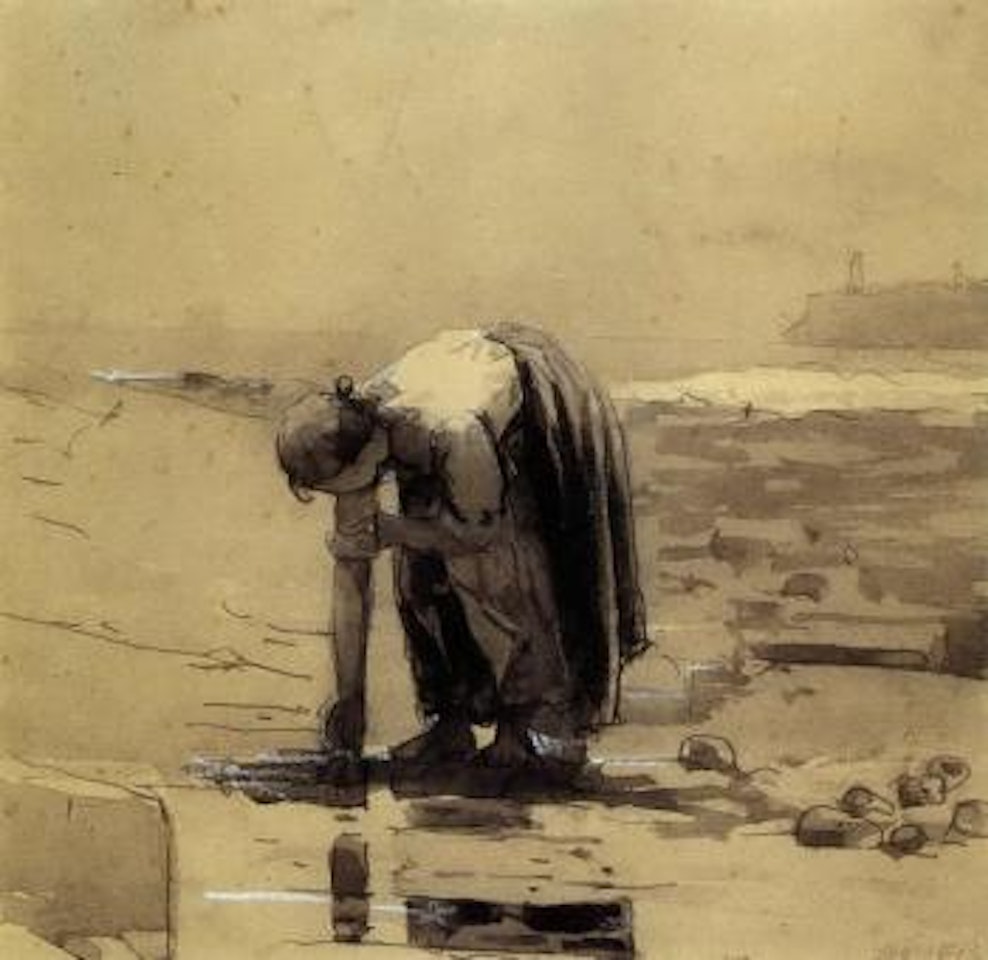 Starfish by Winslow Homer