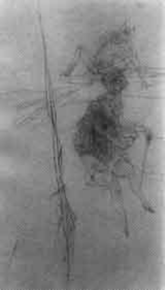Young girl by Hans Bellmer