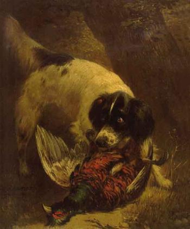 Chien de chasse ramenant un coq faisan by Henriette Ronner-Knip