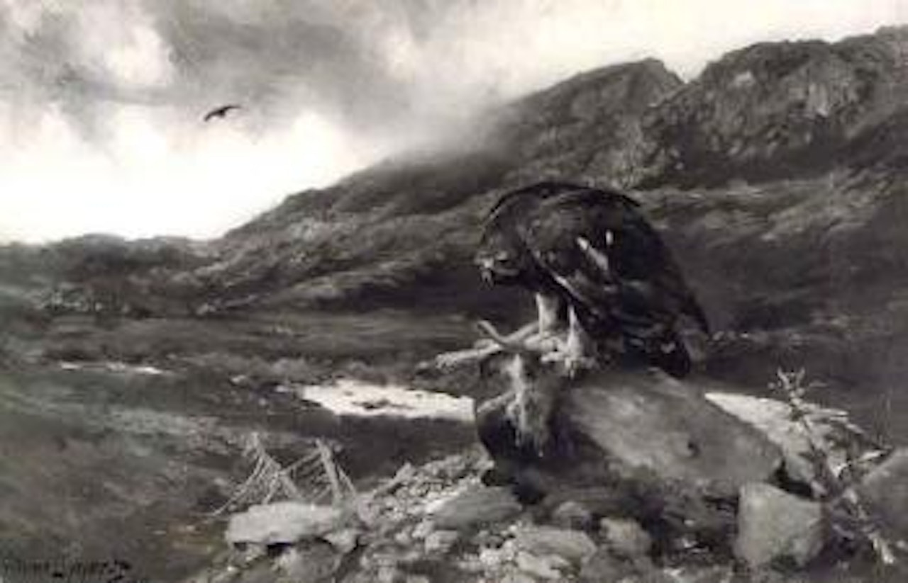 Eagle in mountain landscape by Bruno Liljefors