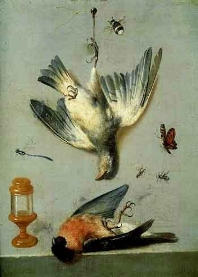 Nature morte aux deux oiseaux et a la libellule by Jean-Baptiste Oudry