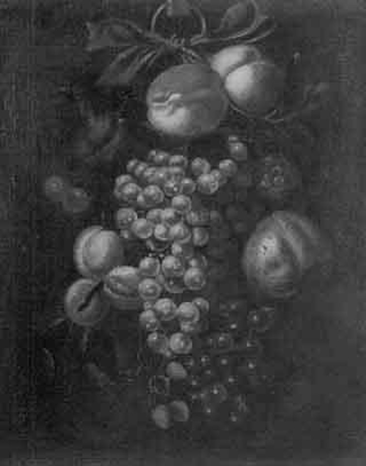 Peches, raisins surspendus a un ruban bleu by Cornelis de Heem