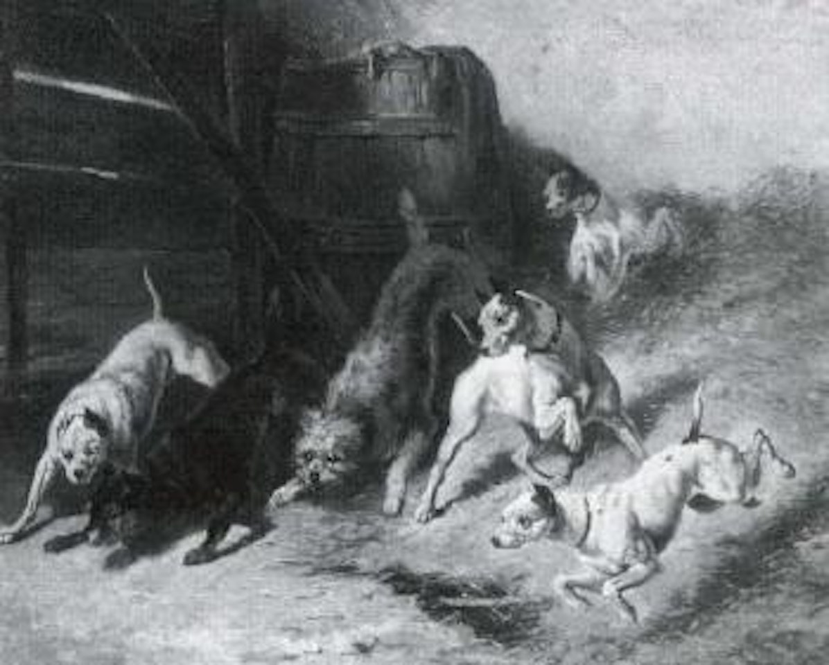 Dogs playing in barn by Henriette Ronner-Knip