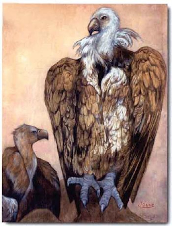 Aigles by Paul Jouve