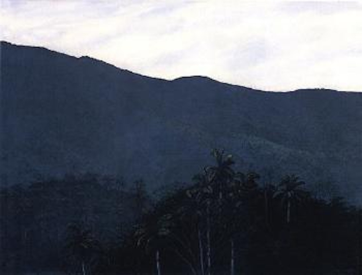 Landscape by Tomas Sanchez